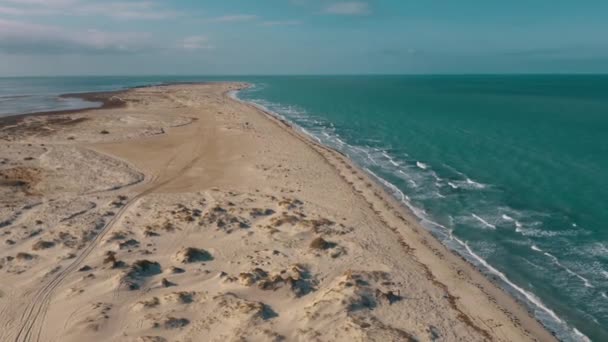 Αεροφωτογραφία Του Greater Flamingo Island Djerba Τυνησία — Αρχείο Βίντεο