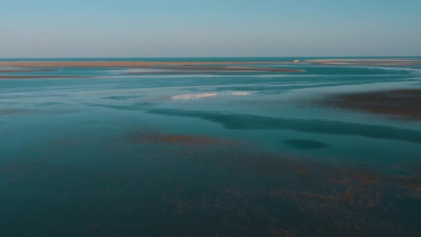 Luftaufnahme Flamingo Schwarm Auf Djerba Tunesien Tagesansicht Videoclip