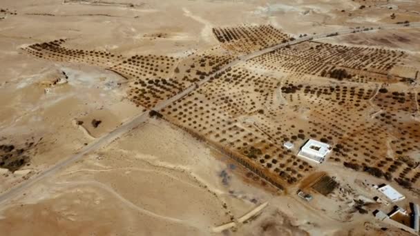 Aerial Daytime View Tunisian Deserty Landscape — Stock Video