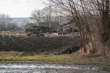 Toprak yol boyunca kırsal evler