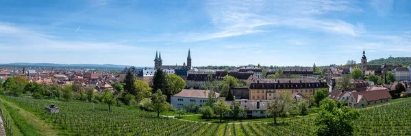 Vista Panorâmica Das Vinhas Histórica Cidade Velha Bamberg Alemanha — Fotografia de Stock