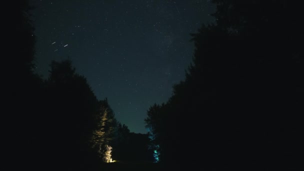 Timelapse Nocturno Con Estrellas Bosques Imágenes Fullhd Alta Calidad — Vídeos de Stock