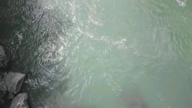 Slow flight over a fast mountain river , blue cold water in a mountain river. Very low flight over a mountain river upstream. Drone flight, mountain river.