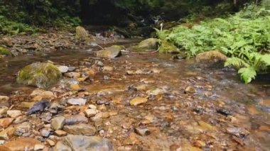 Slow flight over a fast mountain river , blue cold water in a mountain river. Very low flight over a mountain river upstream. Drone flight, mountain river.