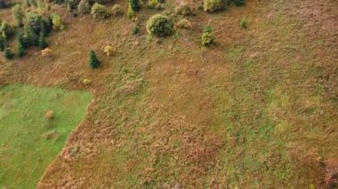 Aerial view of trail road in Carpathian mountains off-road attraction. Mountain taxi 