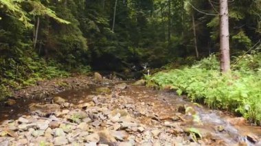 Slow flight over a fast mountain river , blue cold water in a mountain river. Very low flight over a mountain river upstream. Drone flight, mountain river.