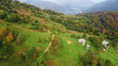 Burnt grass fields at Alps mountain village aerial. Nobody nature landscape. Cottages at countryside farmlands. Mountaineering vacation. Sun spruce forest.