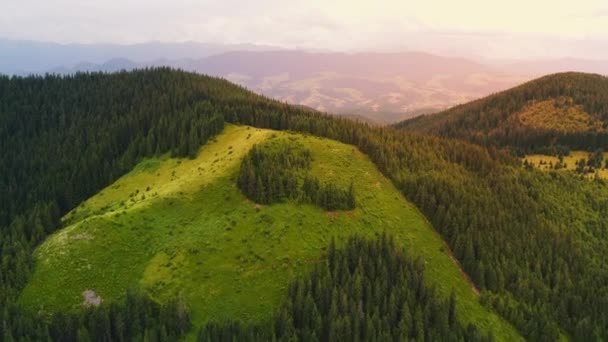 Aerial View Trail Road Carpathian Mountains Road Attraction — Video