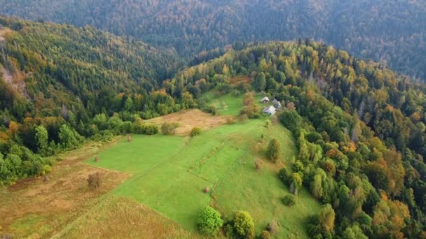 Aerial View Trail Road Carpathian Mountains Road Attraction — Video