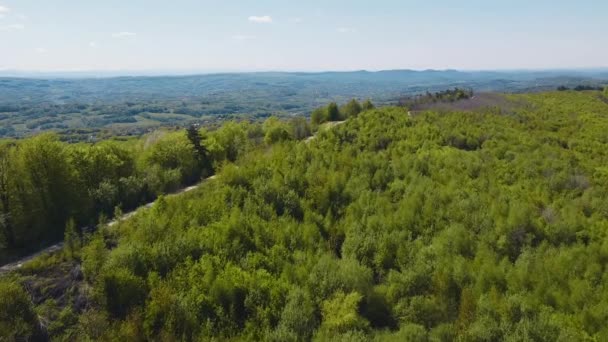 Вид Осінню Дорогу Машинами Вид Повітря Сільську Дорогу Осінньому Лісі — стокове відео