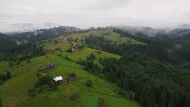 Rainy Weather Mountains Misty Fog Blowing Pine Tree Forest Aerial — Stock video