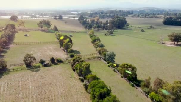 Filmagem Aérea Drones Belas Plantações Agrícolas Campos Cultivos Legumes Vinhedos — Vídeo de Stock