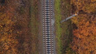 Drone flight in an industrial area. A freight train loaded with wood moves forward, and on the road near the industrial area, many vehicles pass. Its autumn time