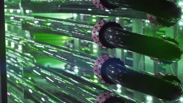 Reaktor Glonów Science Tubular Przewód Badawczy Nowoczesny Bioreaktor Laboratoryjny Rurki — Wideo stockowe