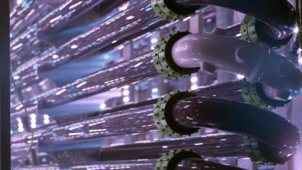 藻類反応器科学管 研究管ホース近代的な実験室のバイオリアクターチューブマルチ培養管光子計測器バイオテクノロジー詳細サンプル調製泡 フォトバイオリアクター — ストック動画