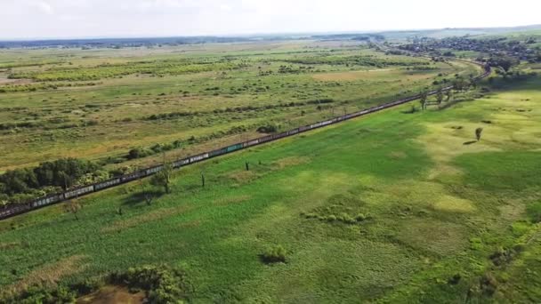 Trens Longo Curso Transportam Com Carruagens Uma Locomotiva Pela Paisagem — Vídeo de Stock