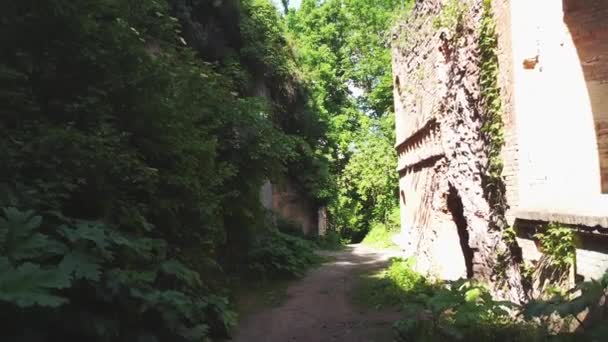 ウクライナのリヴネ地方にあるドゥブノ砦またはタラカニフ砦の跡 ウクライナの軍事史と旅行先の人気の記念碑 — ストック動画