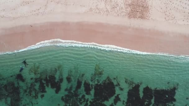 当碧绿的海浪冲破沙滩海岸线时 俯瞰美丽的无缝画面从未间断 空中拍摄的金色海滩与深蓝色海水和泡沫般的海浪相遇 — 图库视频影像