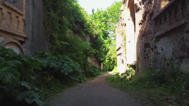 乌克兰Rivne地区Dubno或Tarakaniv要塞前哨的废墟 乌克兰最受欢迎的军事史纪念碑和旅游目的地 — 图库视频影像