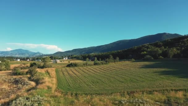 Drone Countryside Landscape Farm Vineyard Mountains Blue Sky Italy Aerial — Stock Video