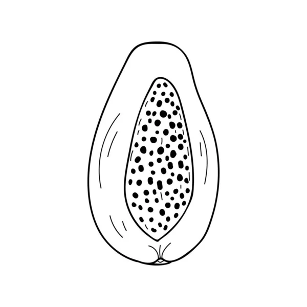 Illustrazione Papaya Doodle Vettore Papaya Fetta Illustrazione Disegnata Mano Vettore — Vettoriale Stock