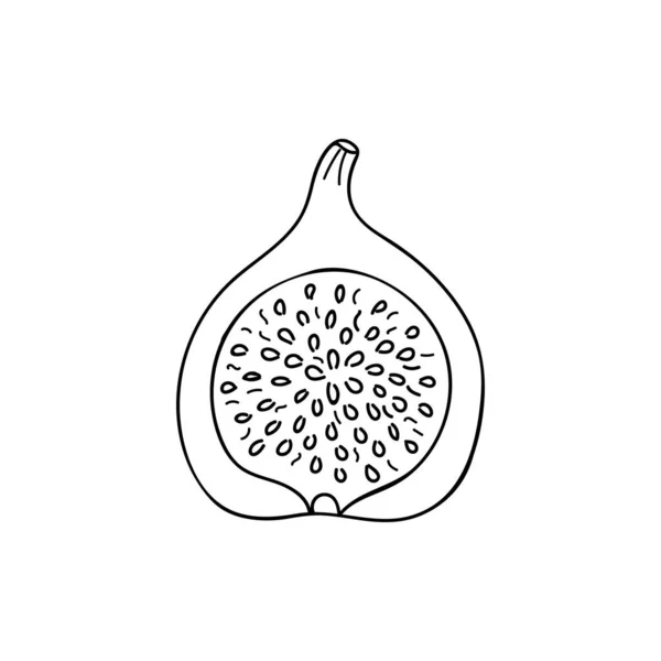 Feigenfruchtscheiben Doodle Illustration Vektor Schneiden Sie Feigenfrüchte Handgezeichnete Illustration Vektor — Stockvektor