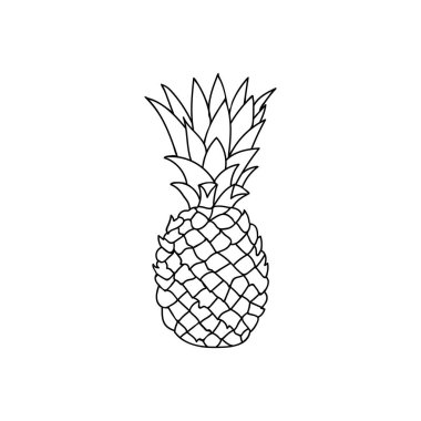 Vektör olarak ananas meyvesi çizimi. Ananasın el çizimi simgesi.