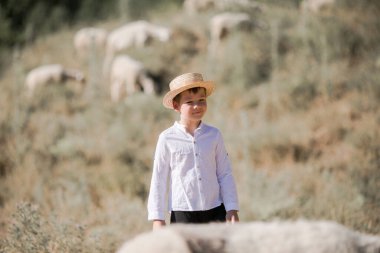 Kafkasyalı, şapkalı küçük bir çocuk tarlada yürüyor ve koyunlara bakıyor.