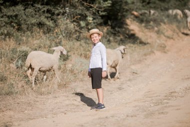 Kafkasyalı, şapkalı küçük bir çocuk tarlada yürüyor ve koyunlara bakıyor.
