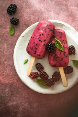 Yoğurtlu dondurma ve böğürtlenli dondurma.