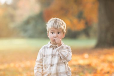Bahçedeki 2-3 yaşındaki bir çocuğun sonbahar portresi. Sonbahar sezonu. Neşeli, tatlı erkek bebeğe yakından bakın.