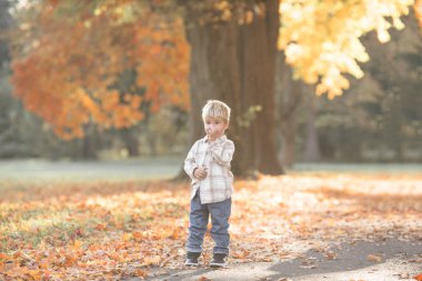 Çocuk ve köpek yaz parkında yürür. Küçük çocuk köpeğiyle oynuyor. Aile köpeği. Çocuklar ve hayvanlar dostluk.