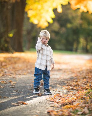 Çocuklar sonbaharda dışarıda eğleniyorlar. Mutlu çocuk Autumn Park 'ta yürüyor. Parktaki güzel anaokulu çocuğunun sonbahar portresi..