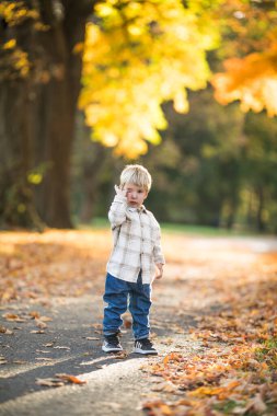 Çocuklar sonbaharda dışarıda eğleniyorlar. Mutlu çocuk Autumn Park 'ta yürüyor. Parktaki güzel anaokulu çocuğunun sonbahar portresi..