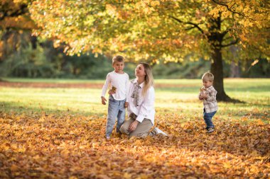 Mutlu genç anne ve iki erkek kardeş sonbahar ormanında yürüyor. Çocuklu aile için sonbahar açık hava aktivitesi. Anneler günün kutlu olsun..
