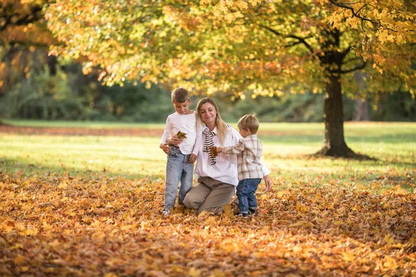 Happy young mother and two brothers walking in the autumn forest. Autumn outdoor activity for family with kids. Happy mothers day.