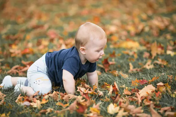 Mutlu aile piknik yapıyor. Küçük bebek yeşil çimlerde sürünüyor.