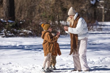 Kış hafta sonu. Anne ve iki oğlu sıcak kış kıyafetleri içinde ağaçların arasındaki ormanda eğlenirken yürüyorlar.