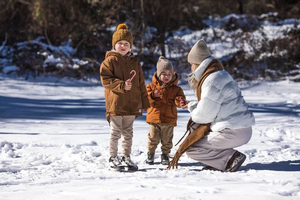Kış Hafta Sonu Anne Iki Oğlu Sıcak Kış Kıyafetleri Içinde — Stok fotoğraf
