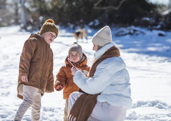 Kış Hafta Sonu Anne Iki Oğlu Sıcak Kış Kıyafetleri Içinde — Stok fotoğraf