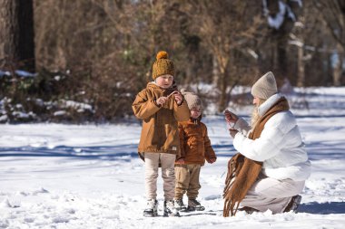 Kış hafta sonu. Anne ve iki oğlu sıcak kış kıyafetleri içinde ağaçların arasındaki ormanda eğlenirken yürüyorlar.