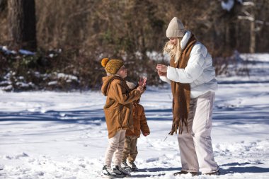 Kış hafta sonu. Anne ve iki oğlu sıcak kış kıyafetleri içinde ağaçların arasındaki ormanda eğlenirken yürüyorlar.