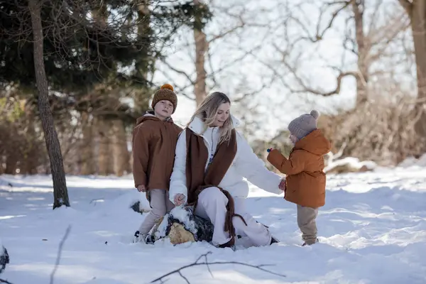 Aktif ve mutlu bir anne, küçük oğullarıyla birlikte kış ormanlarında bir yol boyunca yürür. Kış aile tatili. Mutlu annelik.