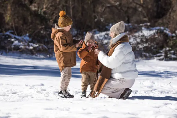 Kış Hafta Sonu Anne Iki Oğlu Sıcak Kış Kıyafetleri Içinde - Stok İmaj