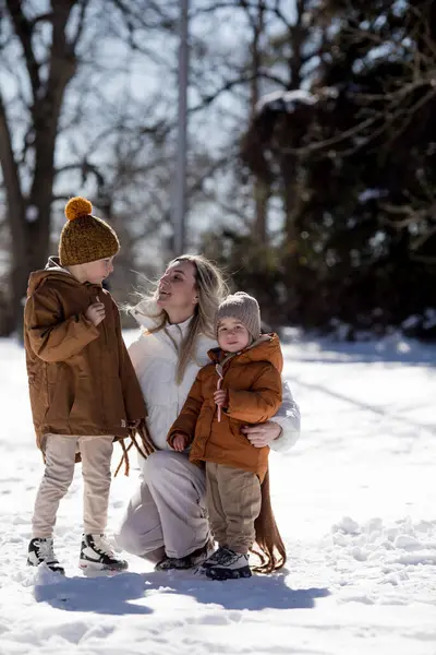 Vinterhelgen Mor Sønner Varme Vinterklær Går Mens Har Det Gøy stockfoto
