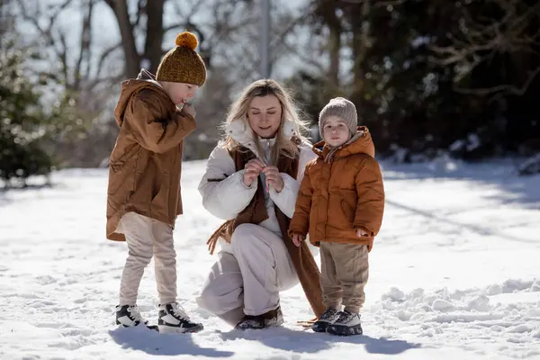Téli Hétvége Anya Két Fia Meleg Télikabátban Sétálnak Miközben Fák Jogdíjmentes Stock Képek