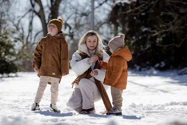 Vinterhelgen Mor Sønner Varme Vinterklær Går Mens Har Det Gøy stockfoto