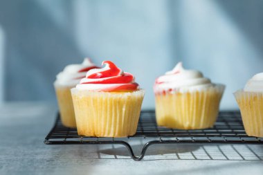 Krem peynirli tatlı kekler. Ev yapımı kekler üst görünüm