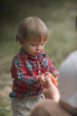 Man hands holding fresh and ripe picked Peach fruits, give some fruit his son. Peaches orchard clipart