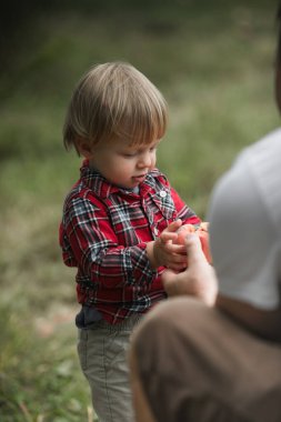 Taze ve olgun şeftali meyvesi toplayan erkek elleri oğluna biraz meyve verir. Şeftali bahçesi